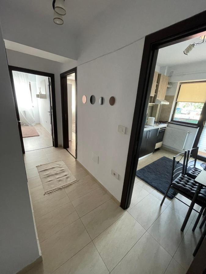 The Mirror - Quiet & Friendly Place In Copou Apartment Iasi Ngoại thất bức ảnh